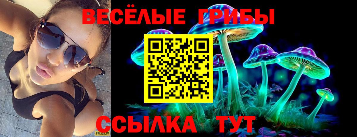 Псилоцибиновые грибы мухоморы  Вход с VPN  Карпинск 
